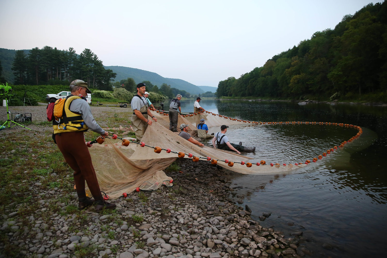 The National Park Service Resource Management Division and volunteers used a beach-seining method with nets measuring 300 feet long by 12 feet deep to collect samples of young-of-year American shad in the Upper Delaware River.